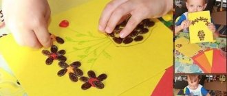 аппликации из природного материала