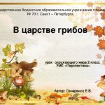 State budgetary educational institution gymnasium No. 70, St. Petersburg In the kingdom of mushrooms, a lesson on the surrounding world, grade 2, educational complex “Perspective” Author: Ovcharenko E.V.