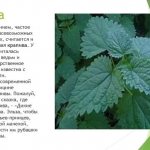 Its use by humans for various purposes