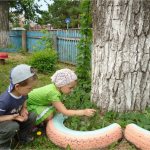 Исследовательский проект «Удивительный мир насекомых»