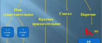 Studying spelling in educational institutions