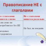 Как отличить раздельное правописание от слитного у антонимов