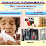 How are colds transmitted?