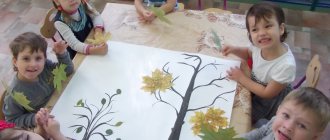коллективное детское творчество с гербарием