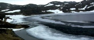 Наши ближайшие соседи (3 класс, окружающий мир)
