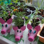 Vegetable garden on the window in a kindergarten: decoration in the form of a fairy tale, photo