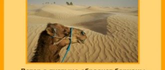Where does the wind come from - experiments for children. Wind in the desert.