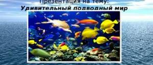 Презентация на тему: Удивительный подводный мир и его обитатели. Выполнил ученик 4а класса Парыгин Данила Руководитель: Палаева Ольга Александровна