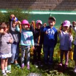 Проект в средней группе «Дары осени»