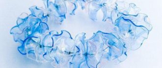 project second life of a plastic bottle