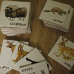 программы образования