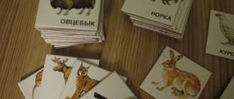 программы образования