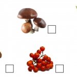 Проверка осознанности чтения: пример