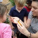 режим в детском саду, режим дня в ДОУ, режим дня в садике