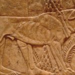 Собака из Ассирии