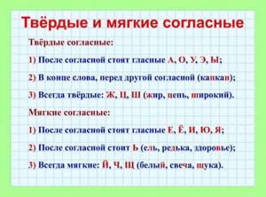 согласные звуки русского языка