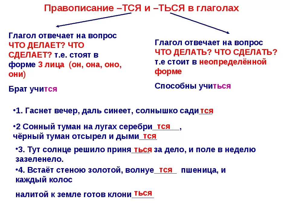 Тся или ться применяйте образец рассуждения при выборе написания глагола