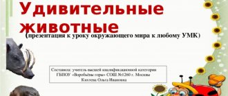Amazing animals (presentation for a lesson on the surrounding world for any educational complex) Compiled by: teacher of the highest qualification category of GBPOU "Sparrow Hills" secondary school No. 1260, Moscow Kikhteva Olga Ivanovna