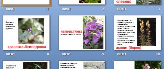 poisonous plants presentation