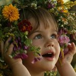 Ядро строение функция