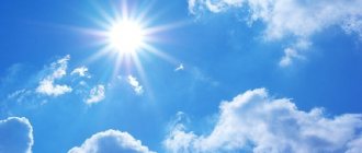 Жаркое июльское солнце